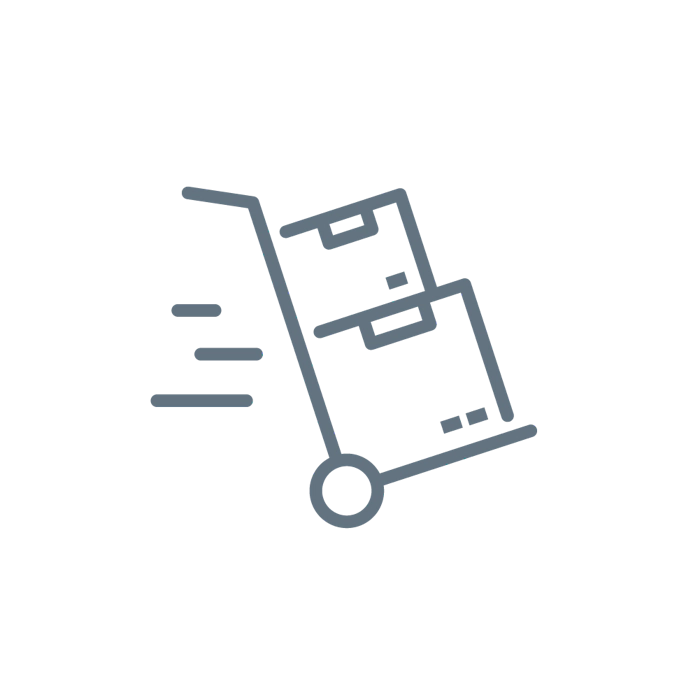 Icon Advance Replacement No Text